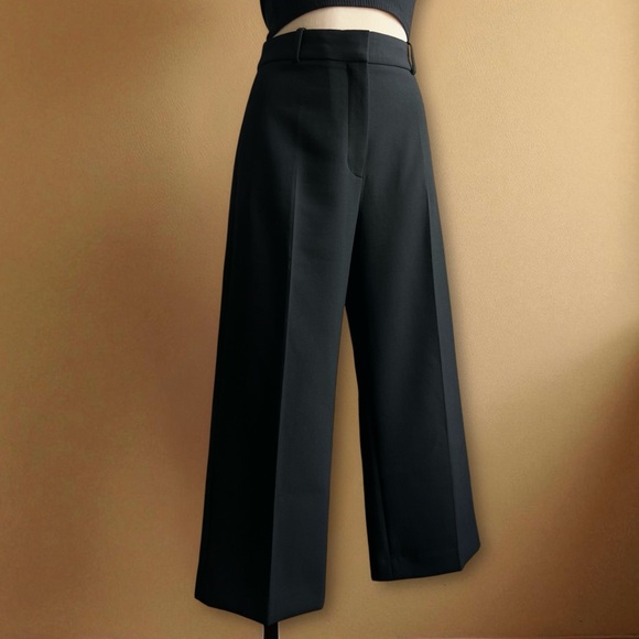 Aritzia Pants - Aritzia Babaton Agency Cropped Wide Leg Pleated Pants Wool